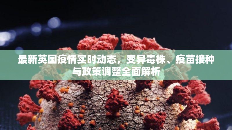 最新英国疫情实时动态，变异毒株、疫苗接种与政策调整全面解析