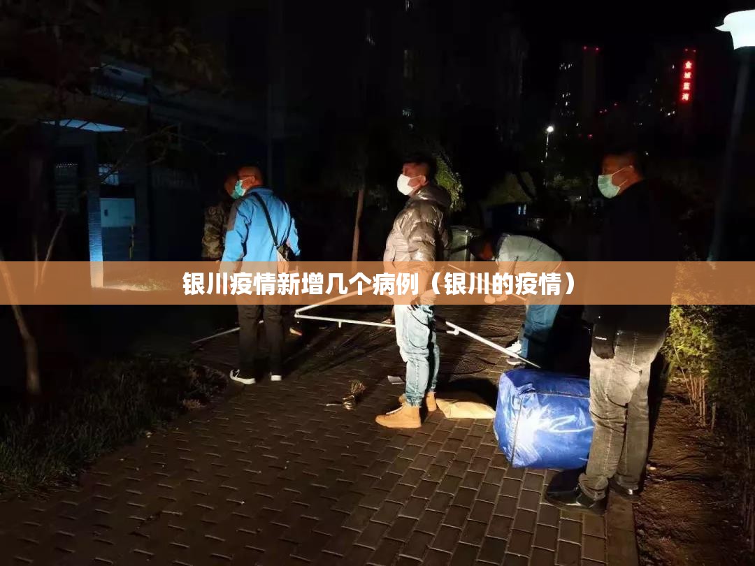 银川疫情新增几个病例（银川的疫情）