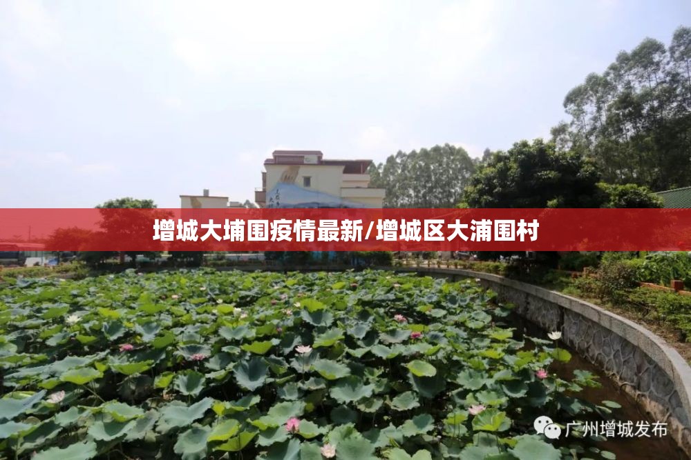增城大埔围疫情最新/增城区大浦围村