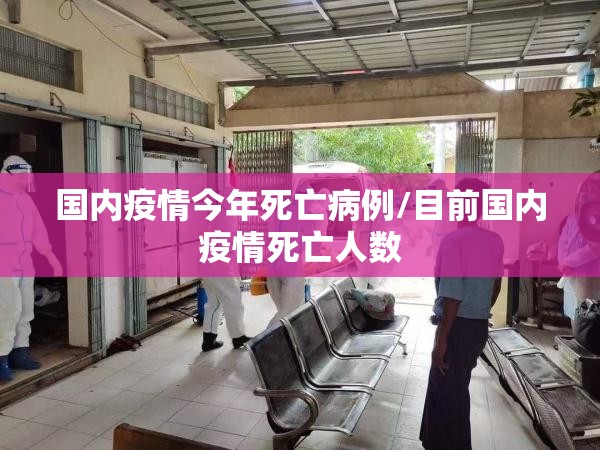 国内疫情今年死亡病例/目前国内疫情死亡人数
