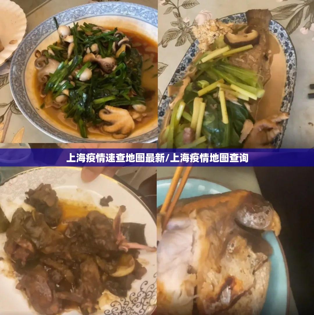 上海疫情速查地图最新/上海疫情地图查询