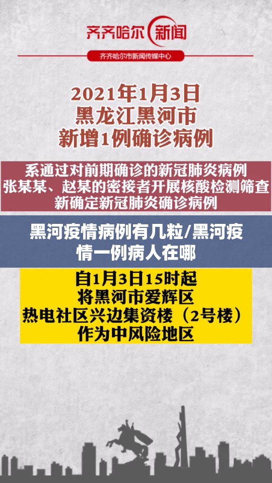 黑河疫情病例有几粒/黑河疫情一例病人在哪