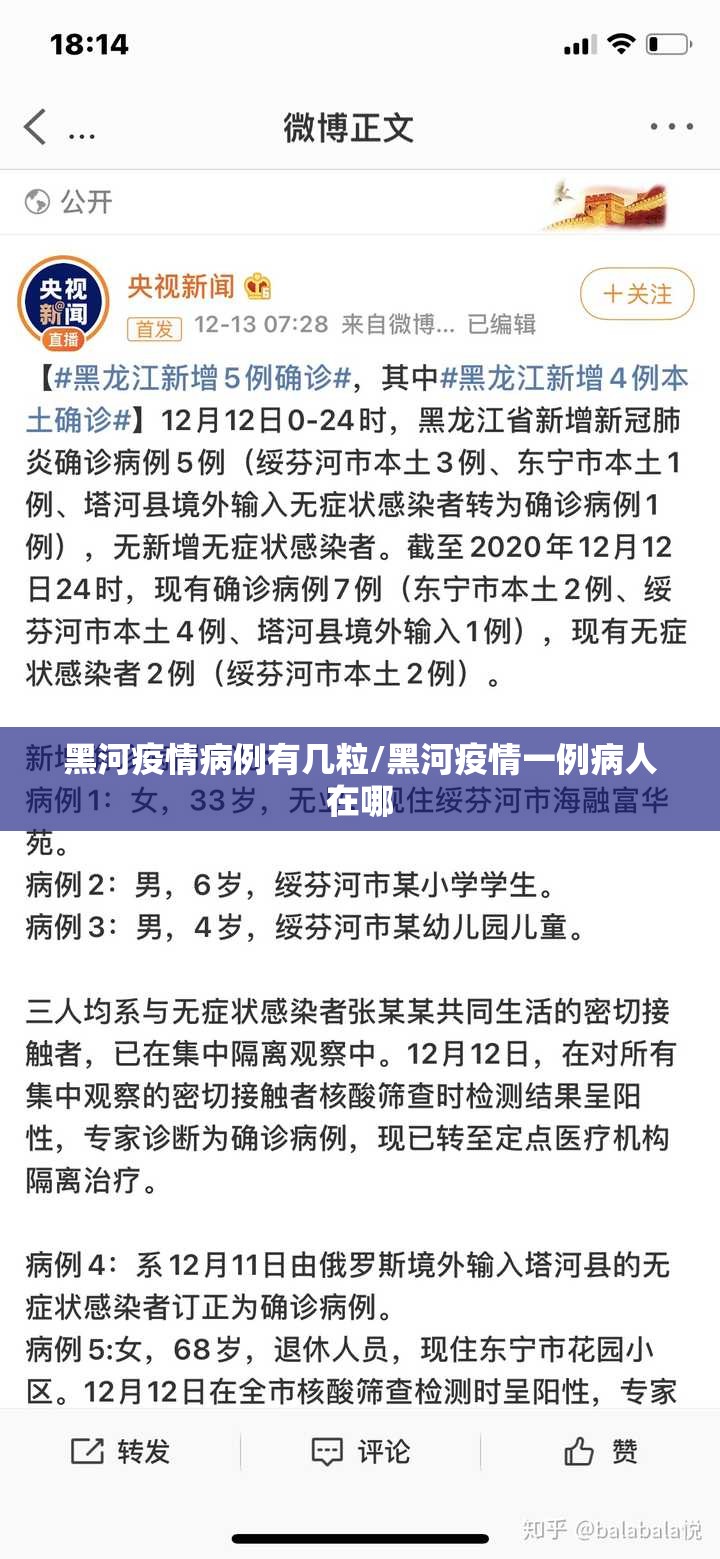 黑河疫情病例有几粒/黑河疫情一例病人在哪