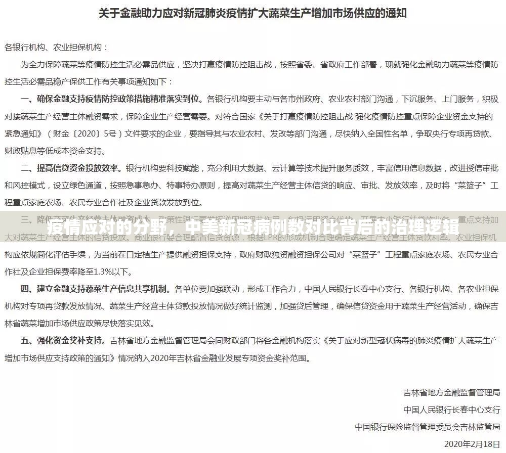 疫情应对的分野，中美新冠病例数对比背后的治理逻辑