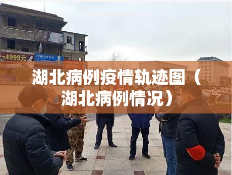 湖北病例疫情轨迹图（湖北病例情况）