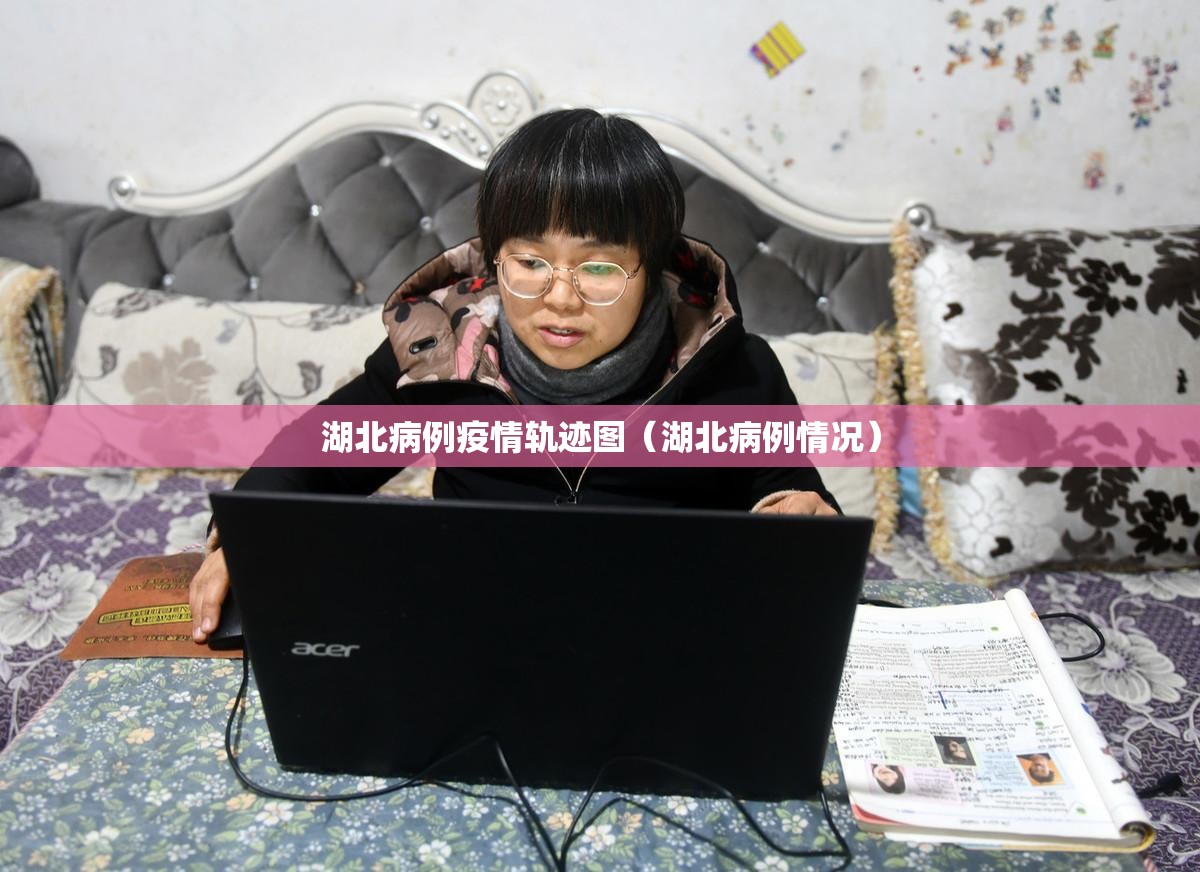 湖北病例疫情轨迹图（湖北病例情况）