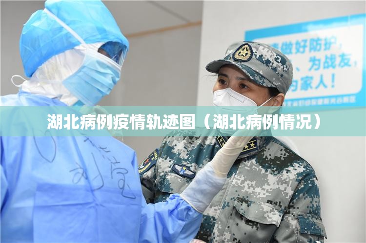 湖北病例疫情轨迹图（湖北病例情况）